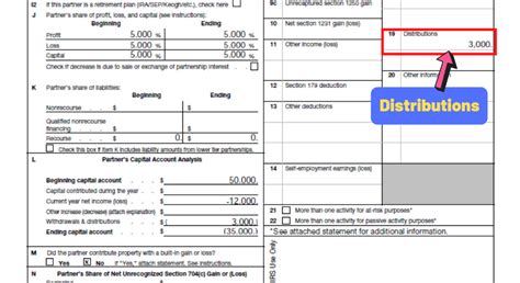 k-1 box 19 distributions a|k 1 line 19a.